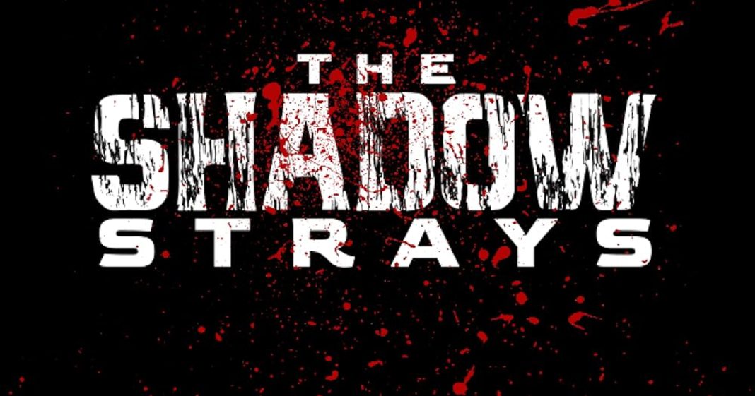 Sinopsis The Shadow Strays, Film Action Terbaru Timo Tj